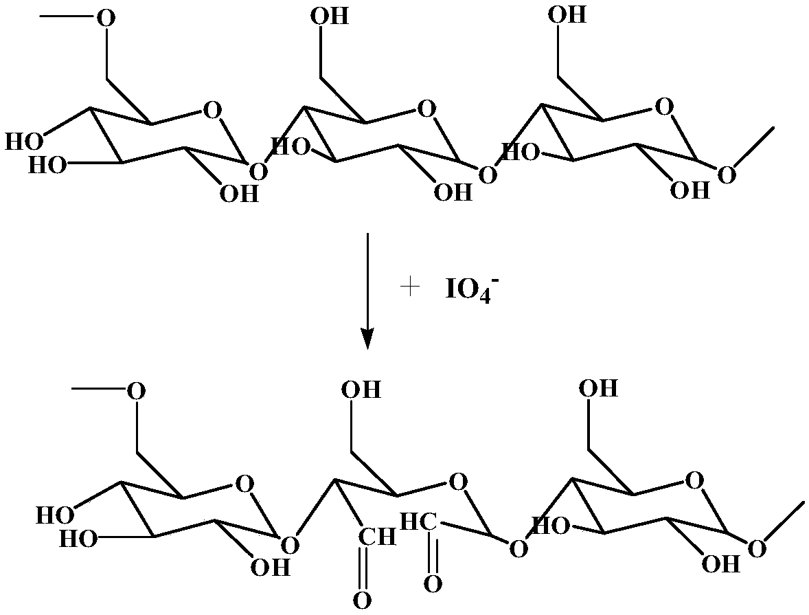 Antibacterial pullulan/chitosan composite food packaging film and preparation method thereof