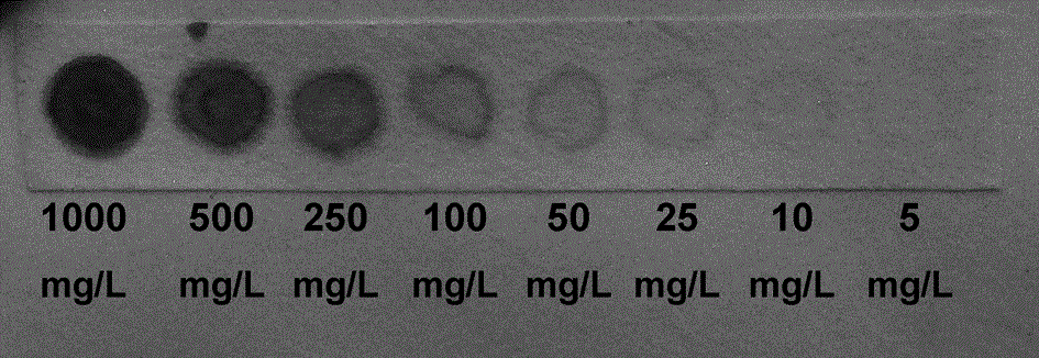 Cobalt ion test paper based on nanoscale zinc sulfide, preparation method thereof and test method
