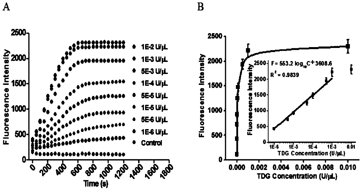 A method for the detection of thymidine-DNA glycosylase activity based on a dual-signal amplification strategy mediated by cyclic enzyme repair