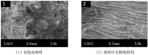 Method for preparing phosphorus removal adsorbent by microwave-assisted salting-out method