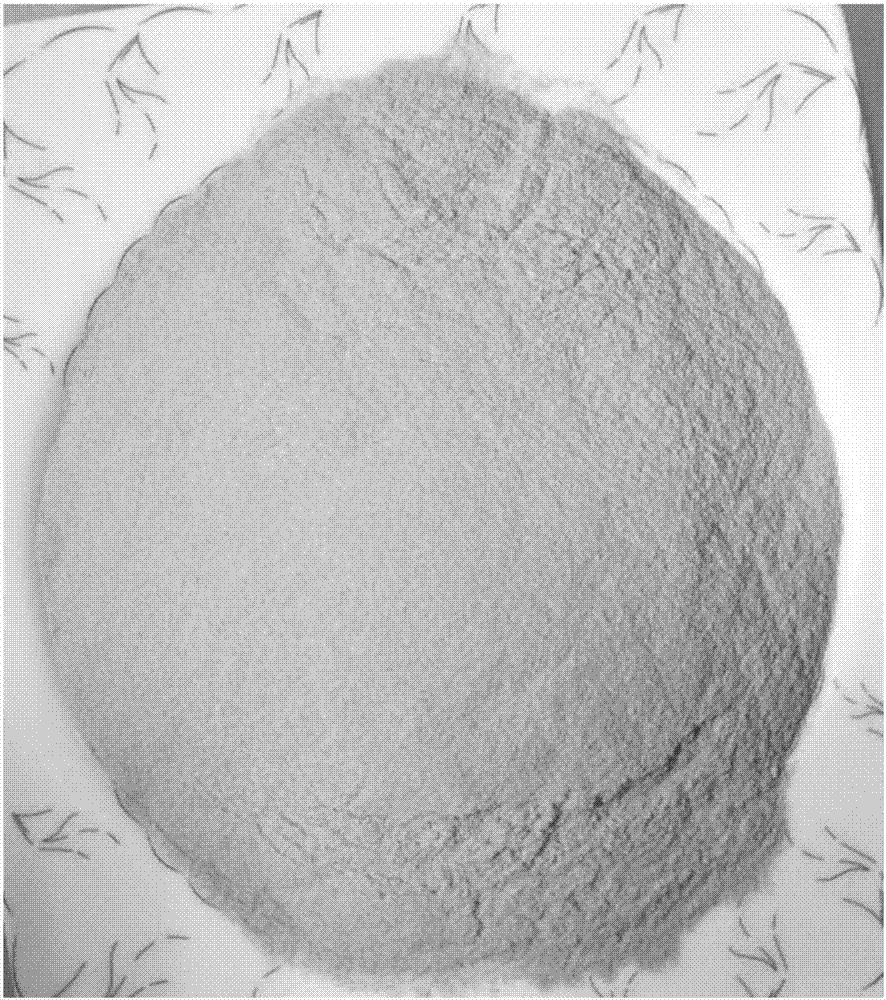 Summer and autumn tea-corn compound brewing powder and preparation method thereof