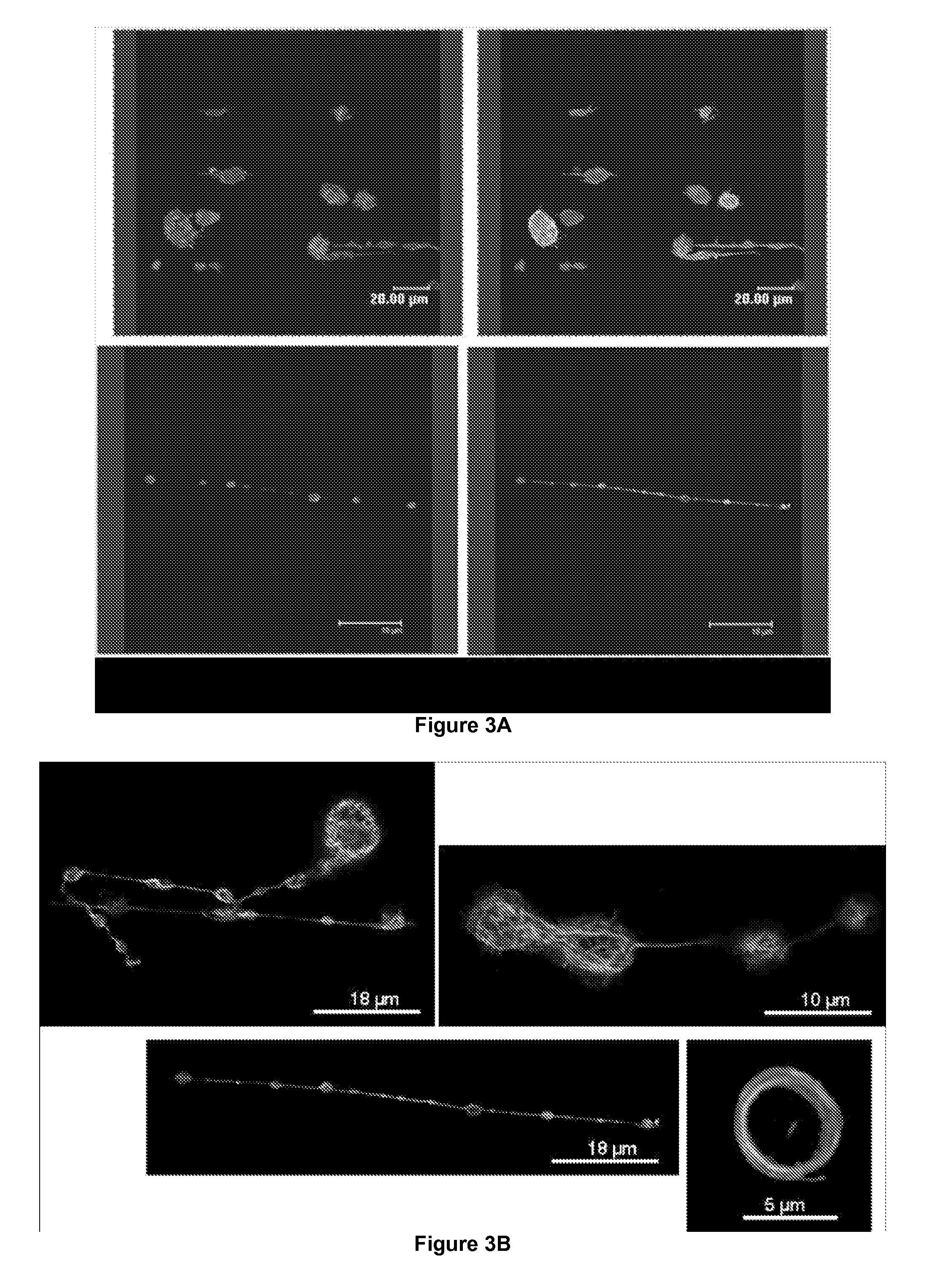 Method for Producing Platelets