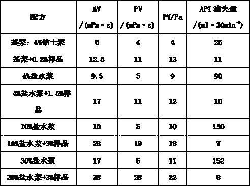 High temperature-resistant and salt-resistant fluid loss additive and preparation method thereof