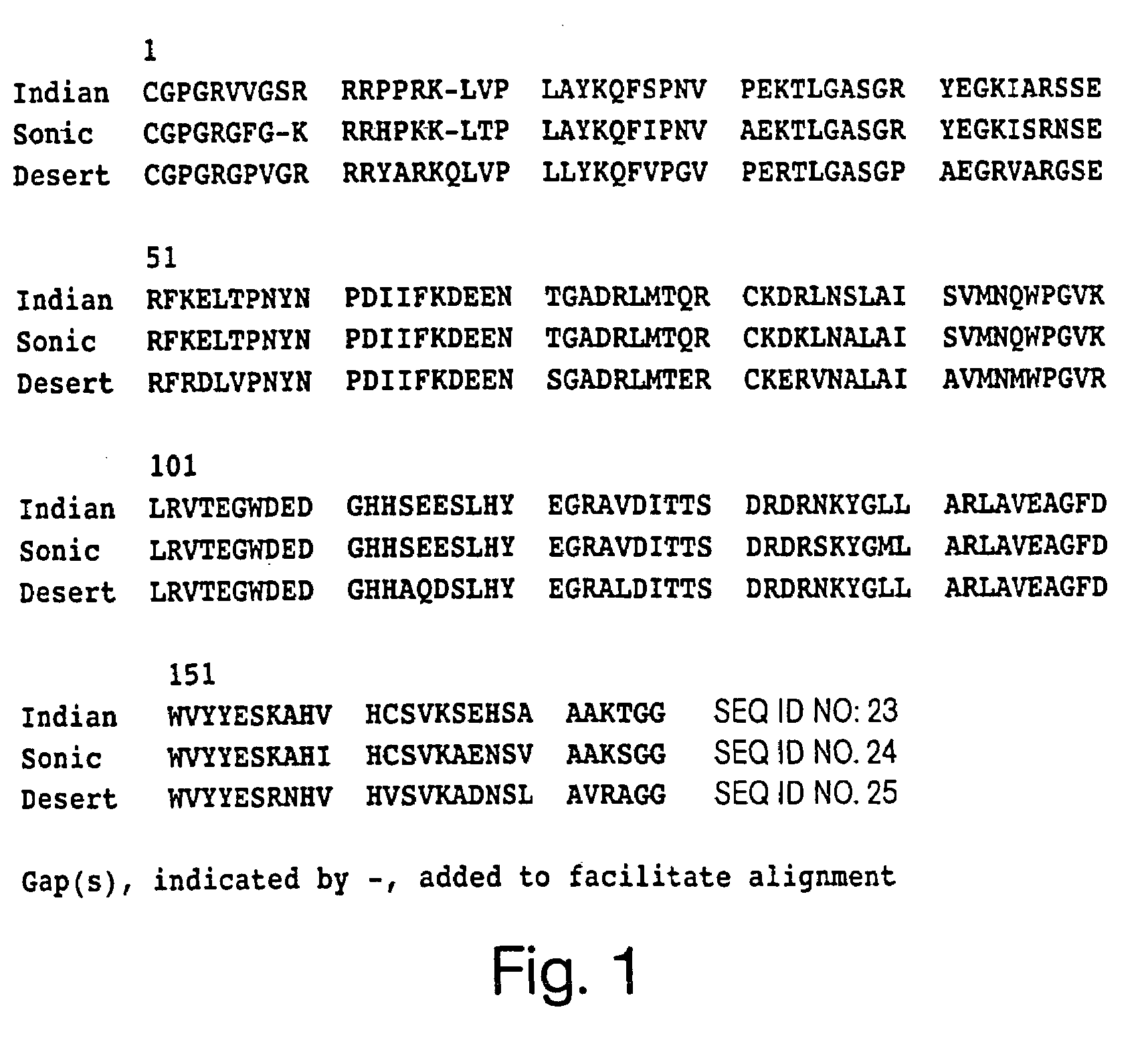 Angiogenesis-modulating compositions and uses