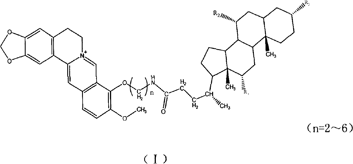Novel berberine 9-position coupled cholic acid derivative and preparation method thereof