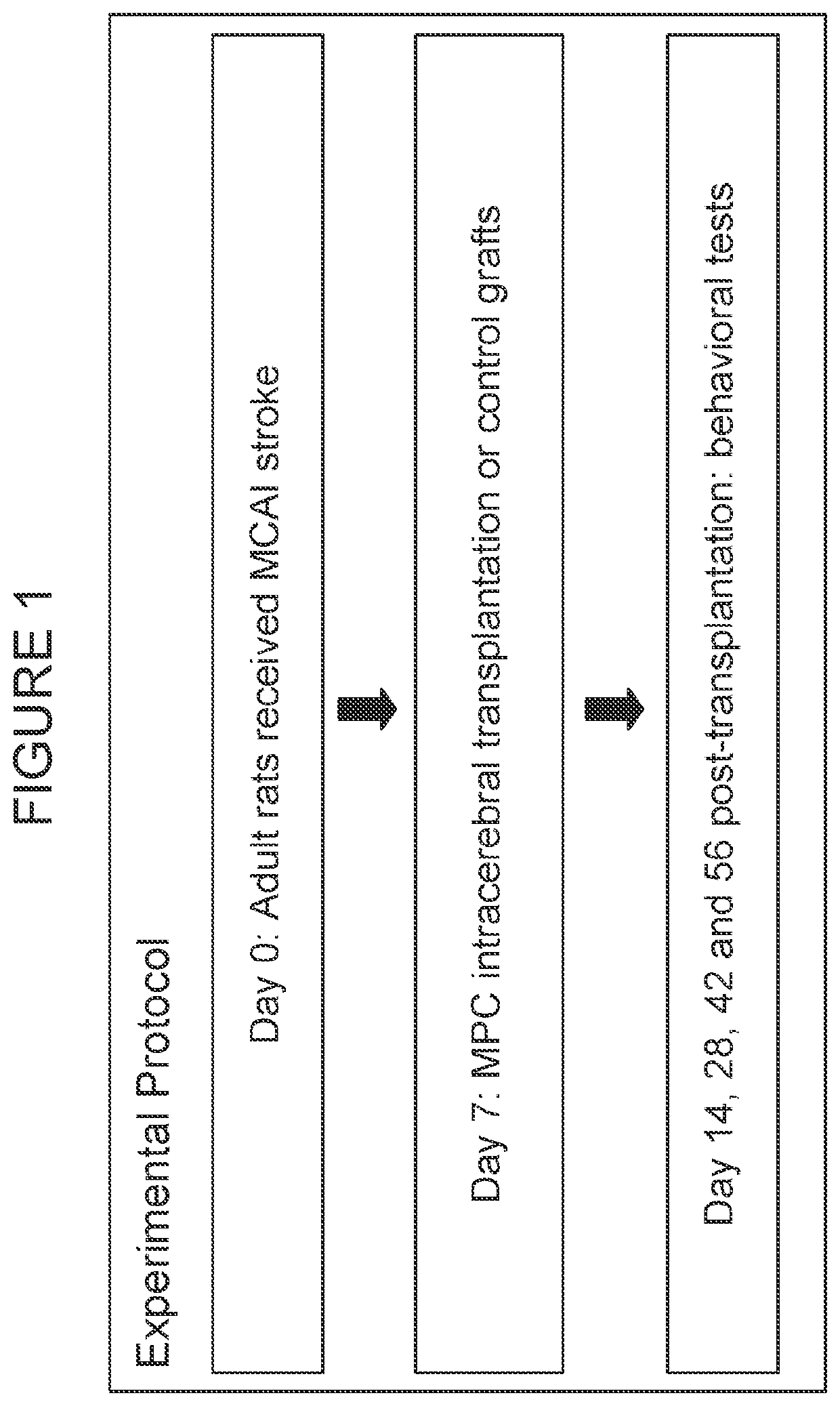 Mapc treatment of brain injuries and diseases