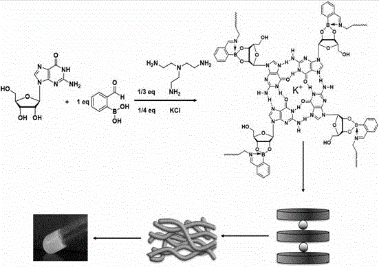 Sugar response supramolecular gel with G-quadruplex structure and preparation method thereof