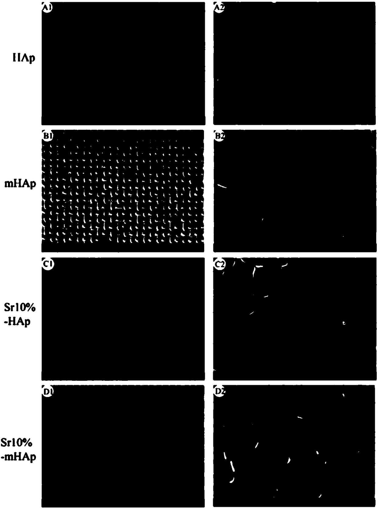 Preparation method of hydroxyapatite biological ceramics with strontium cooperated with ordered micrometer structure for osteogenesis