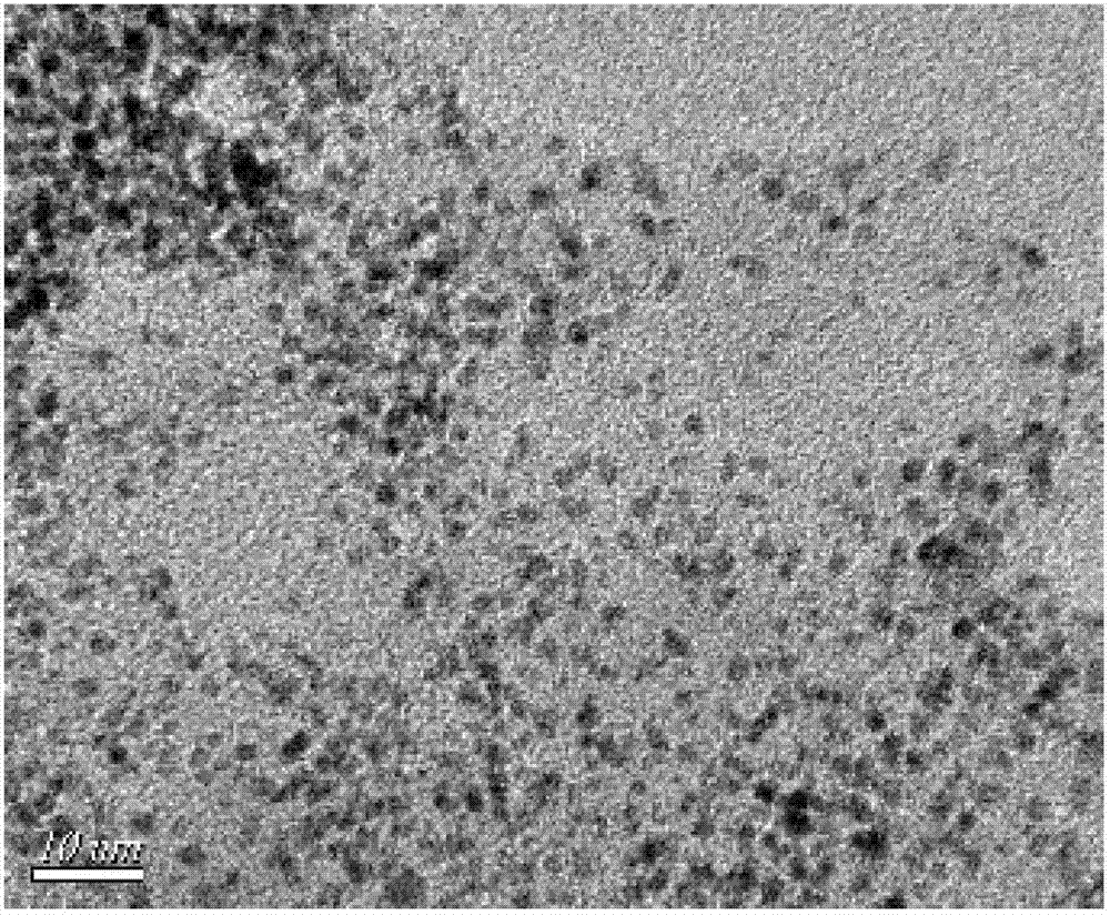 Preparation method for atomic scale precious metal nanoparticle stable colloidal suspension