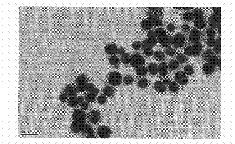 Composite particles whose nano magnetic iron oxide particles are assembled on surfaces of gold particles and method for preparing same