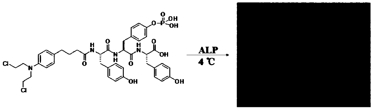 Antitumor nanometer medicine and preparation method thereof