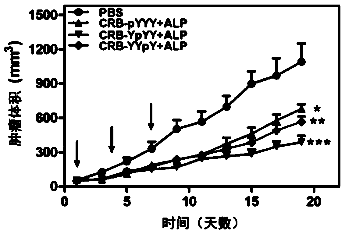 Antitumor nanometer medicine and preparation method thereof