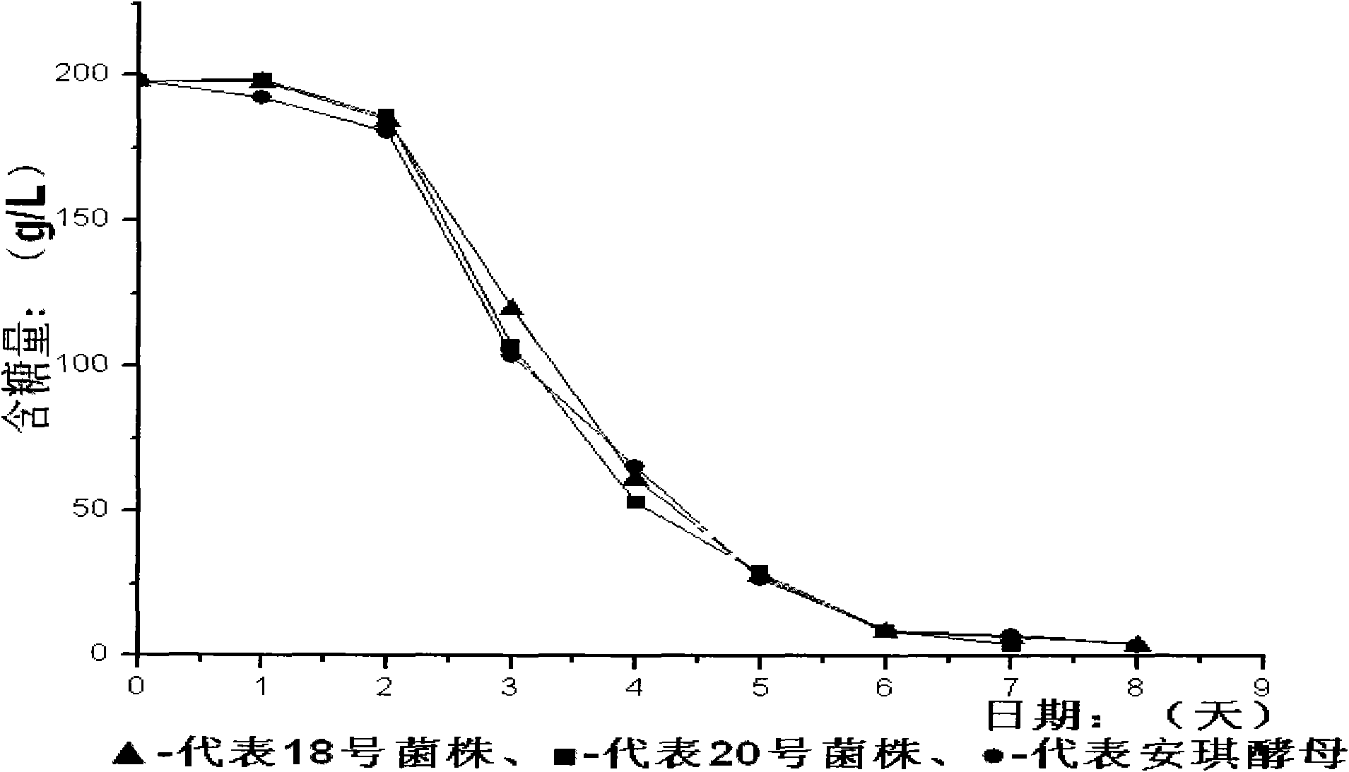 Saccharomyces cerevisiae for brewing pomegranate fruit wine and pomegranate wine prepared by fermentation