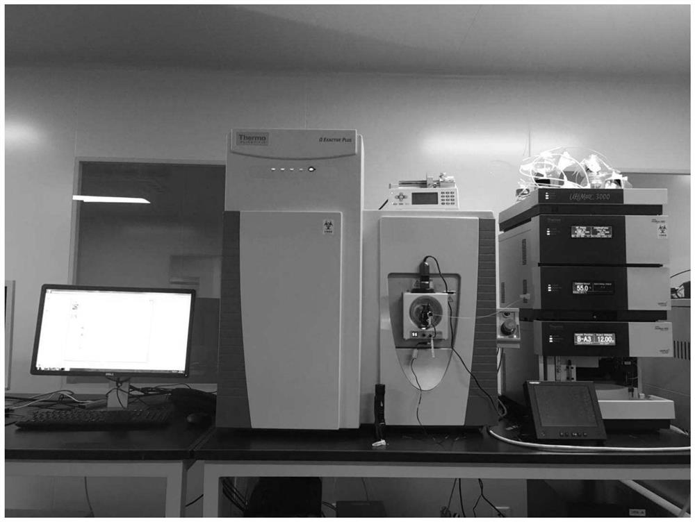 Cerebrospinal fluid VGF protein kit and application thereof in medulloblastoma metastasis evaluation