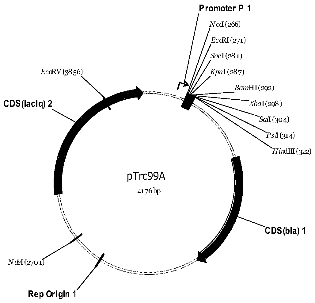α-Bisabolol synthetic plasmid and its construction method and Escherichia coli engineering strain