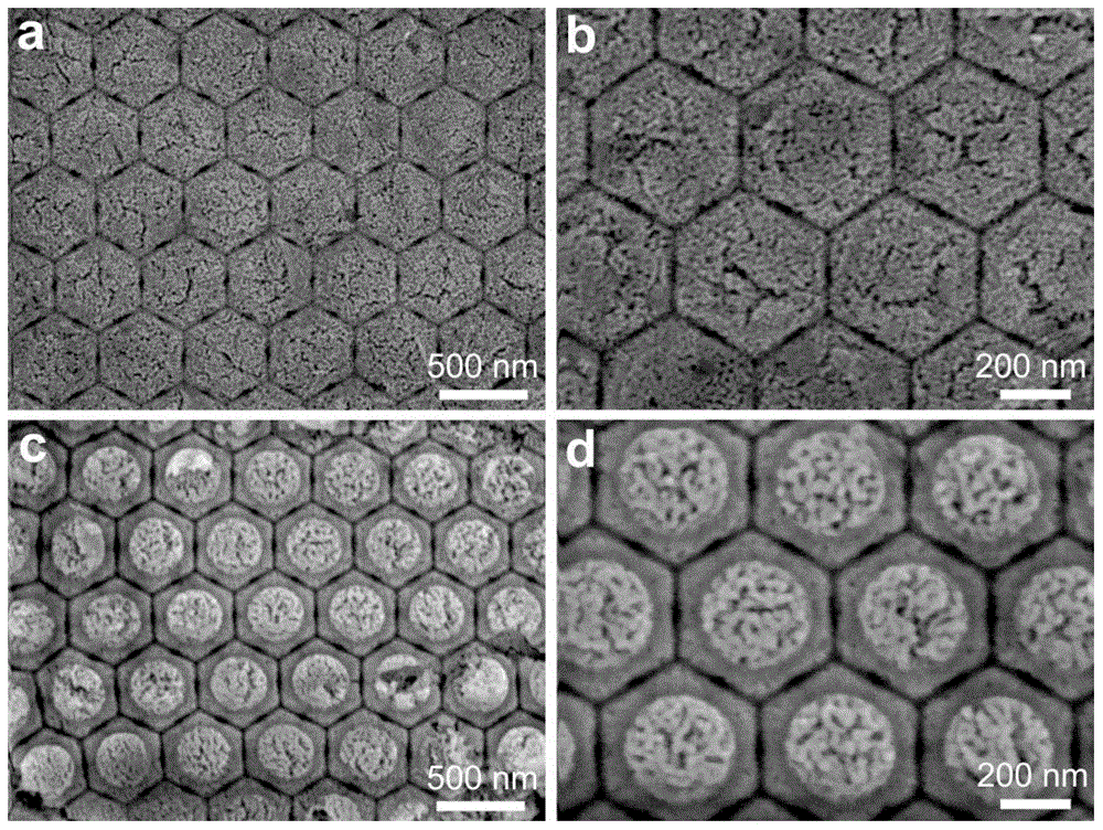 Ordered nanostructured precious metal array, and preparation method and use thereof