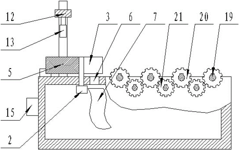 Apple grading and sorting device