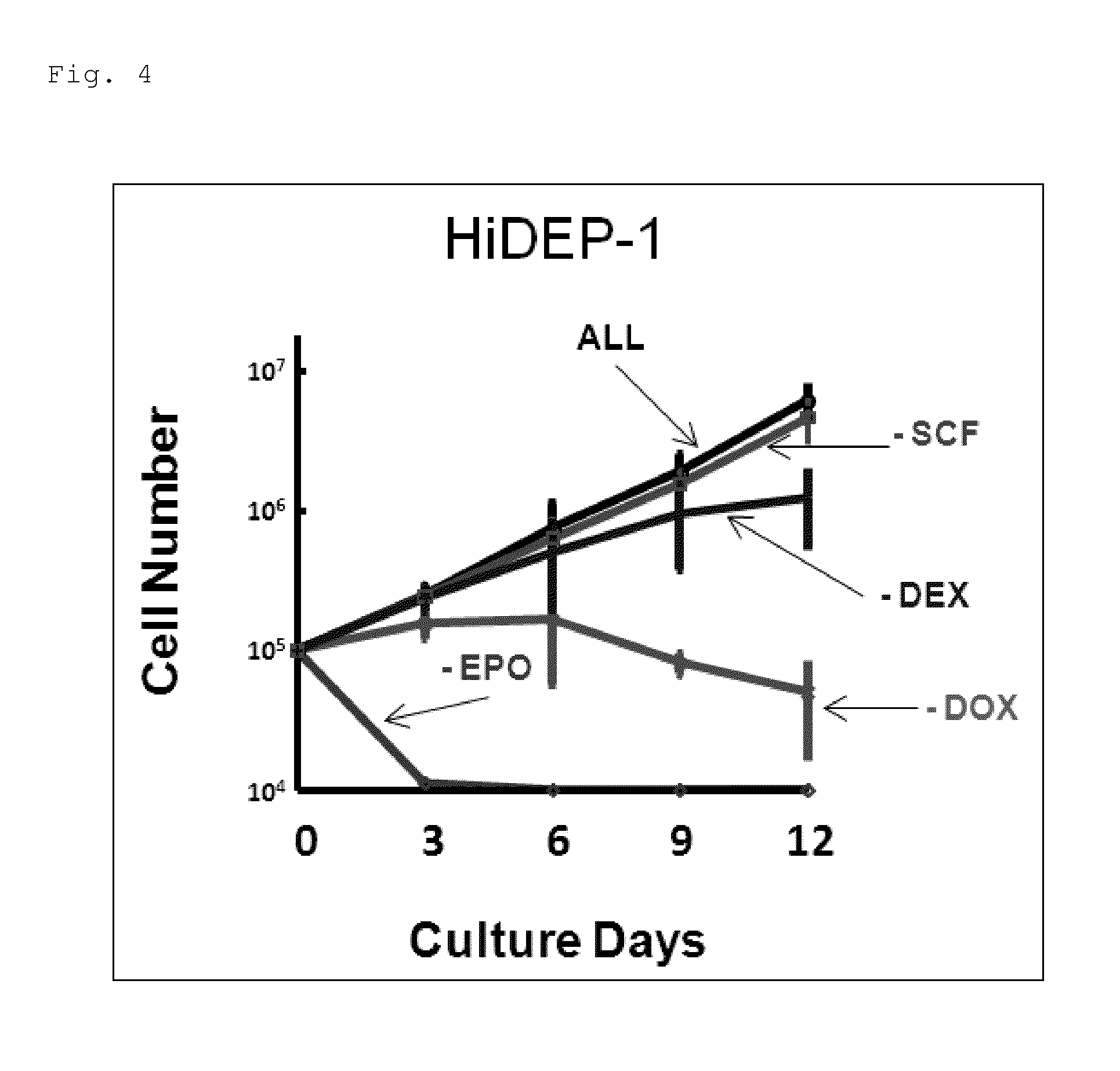Human erythroid progenitor cell line comprising HPV E6/E7 operably linked to an inducible promoter and method for producing human enucleated red blood cells