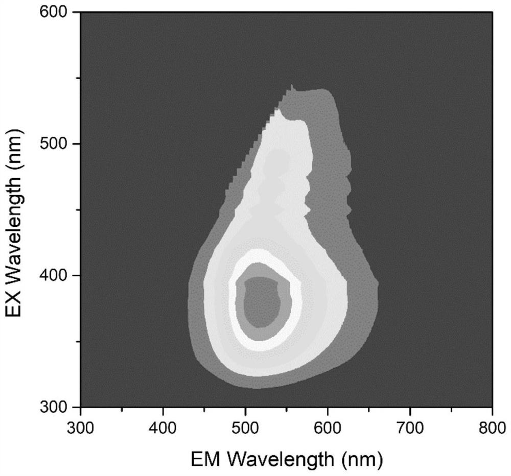 Fluorescent antibacterial polymer material as well as preparation method and application thereof