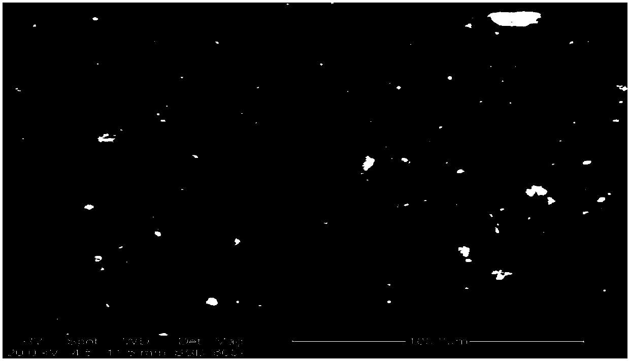 Porous light-weight carbon-based biological carrier and preparation method thereof