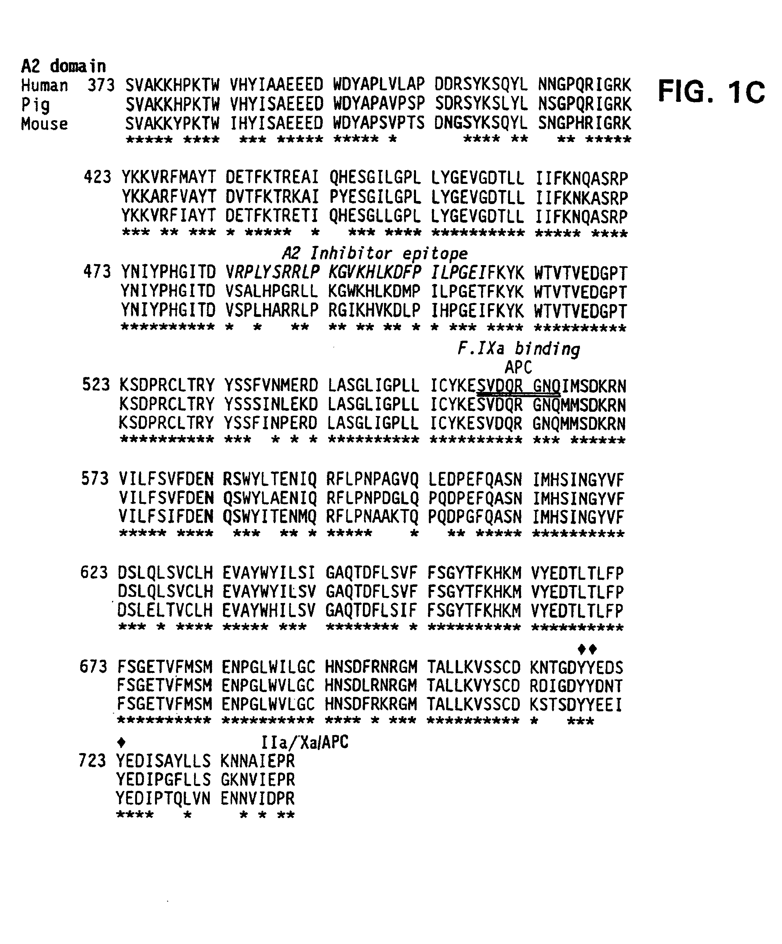 Nucleic acid molecules encoding modified factor VIII proteins, expression products, and methods of making the same