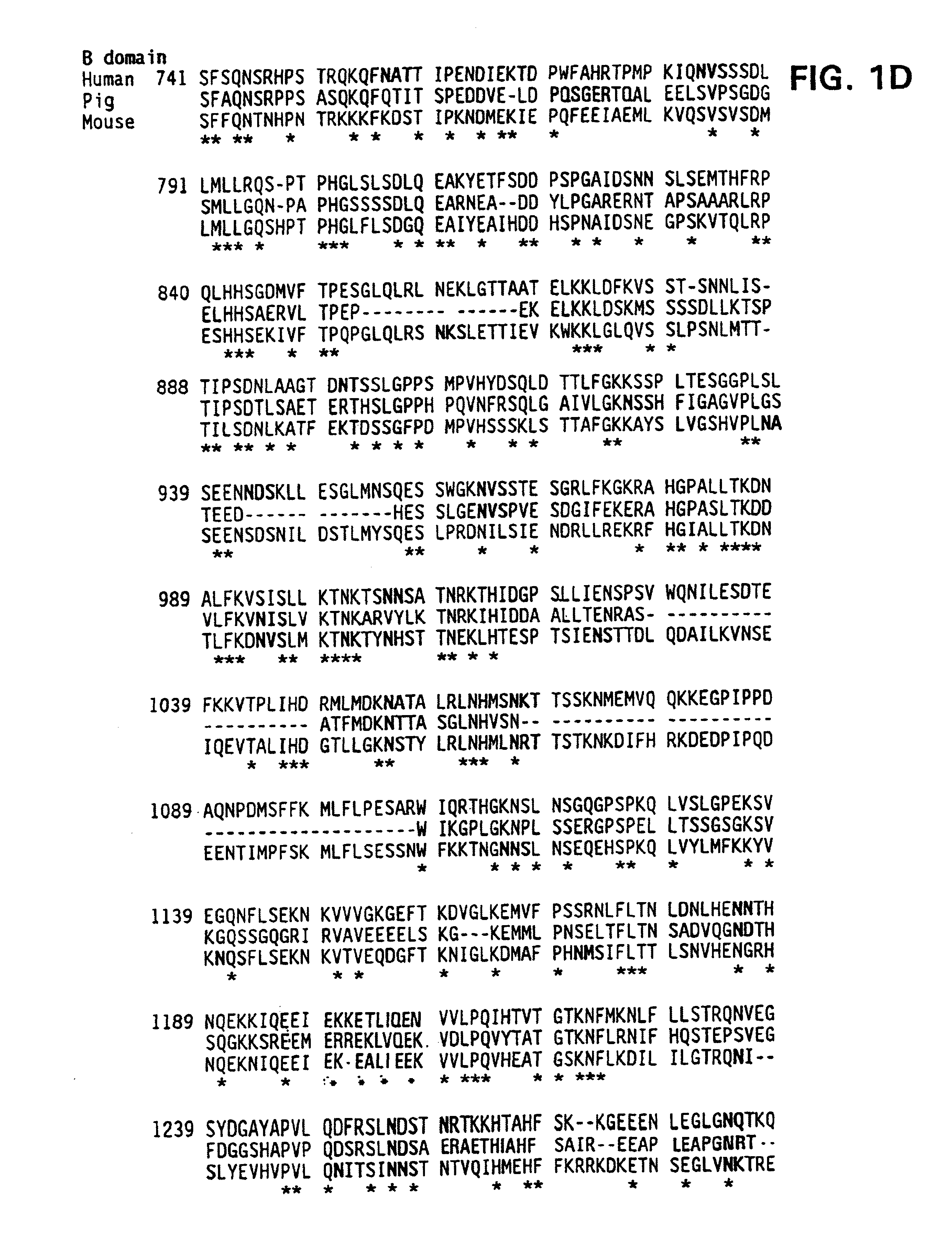 Nucleic acid molecules encoding modified factor VIII proteins, expression products, and methods of making the same