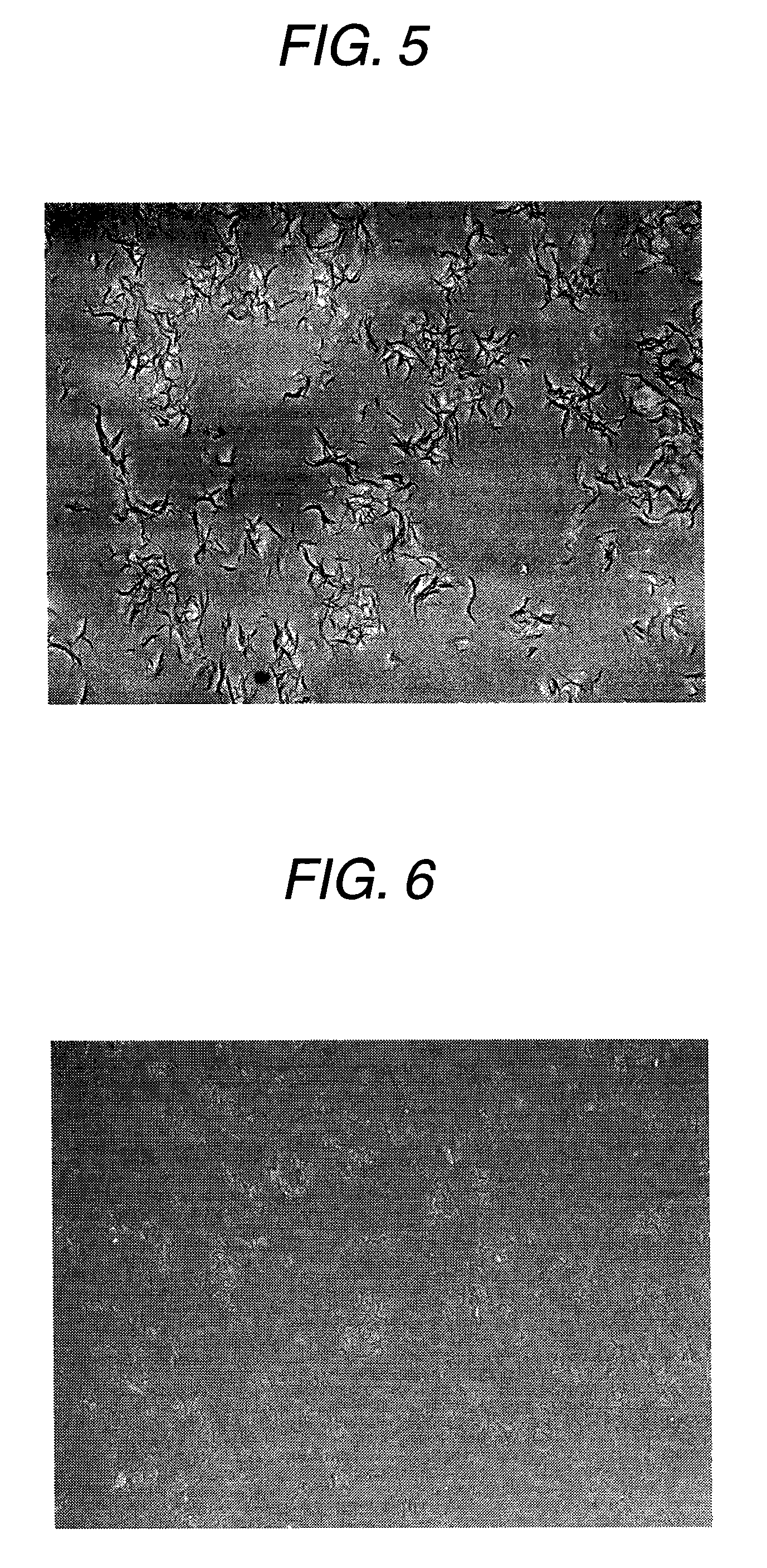 Vinyl-cis-polybutadiene rubber and butadiene rubber composition using the same
