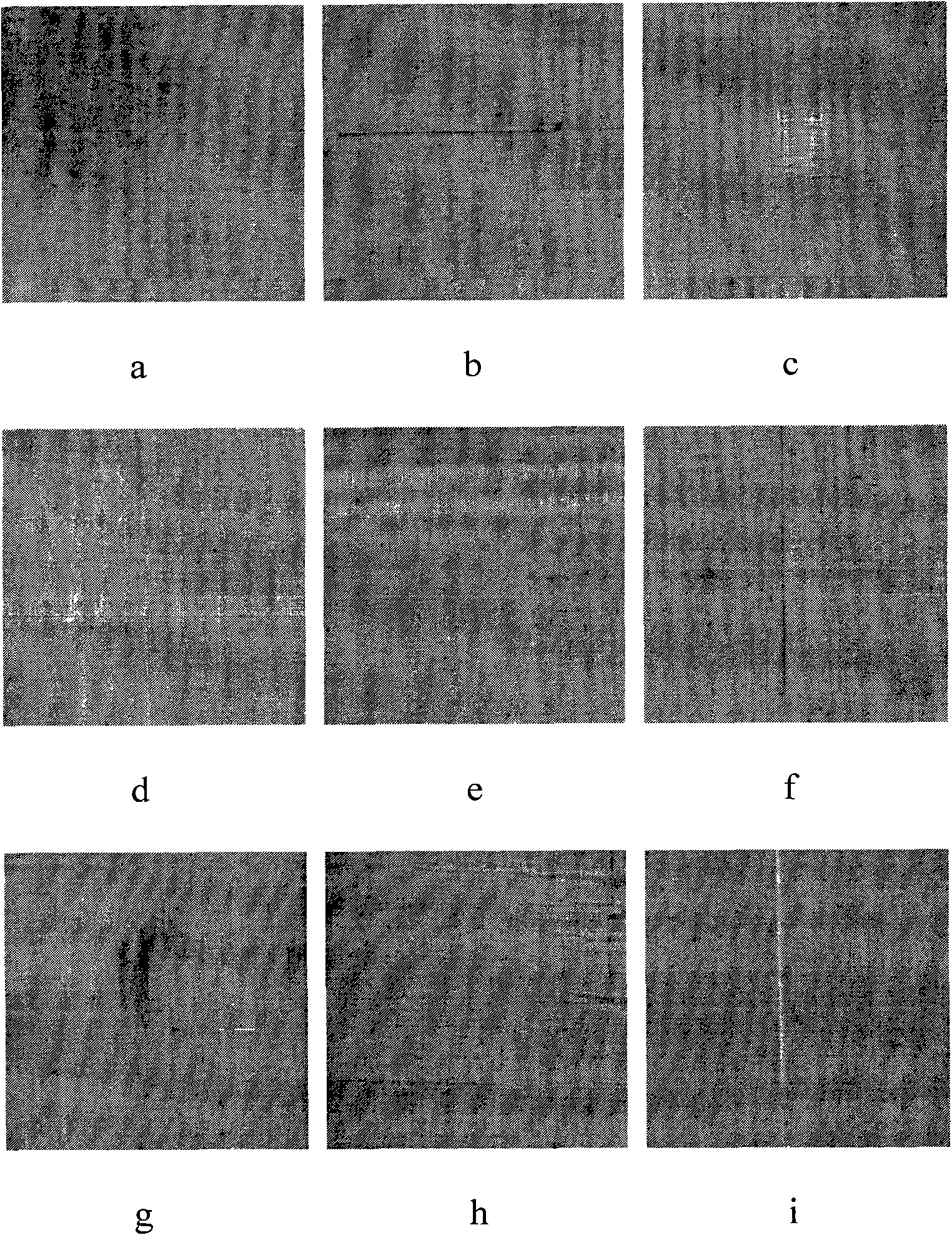Method for detecting and classifying fabric defects