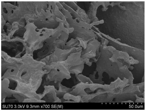 Phosphorus quantum dot composite porous hard carbon material and its preparation method and application
