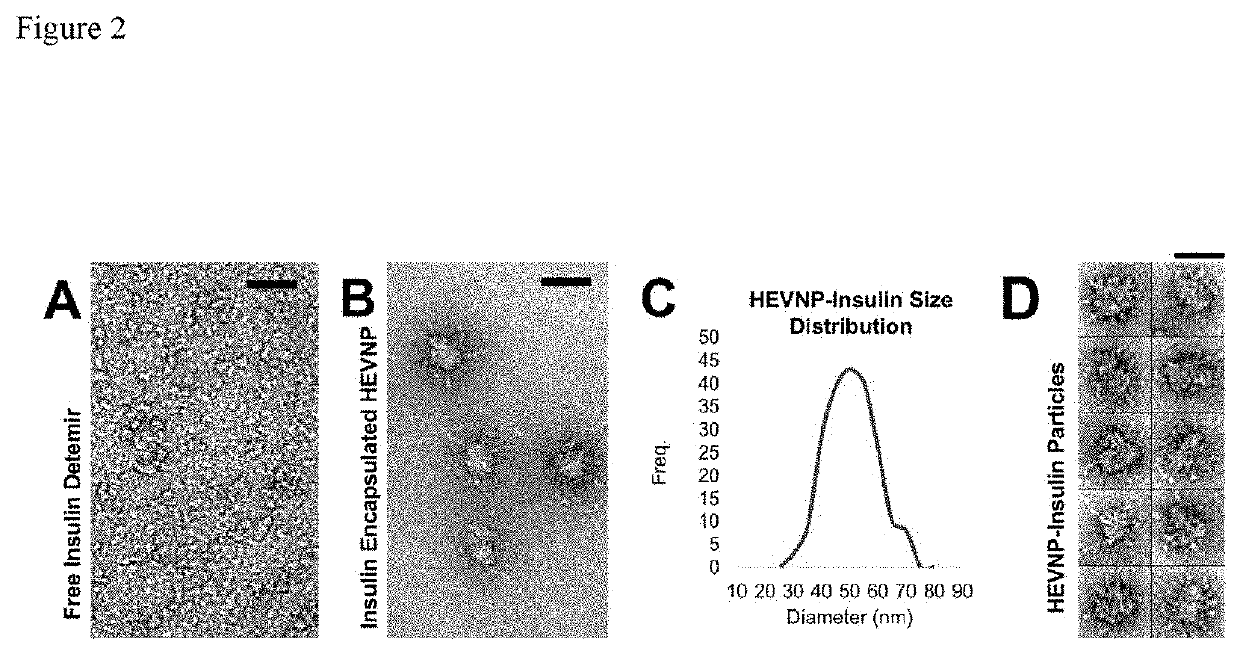 Virus-like nanocapsid for oral delivery of insulin