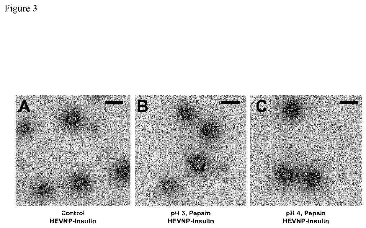 Virus-like nanocapsid for oral delivery of insulin