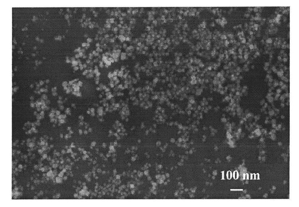 Method for preparing superparamagnetic Fe3O4 nano particle based on thermal decomposition of template