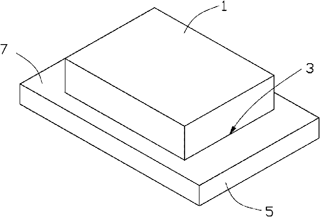 Agglutinating member and agglutinating method