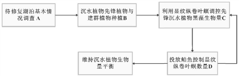 Method for regulating and controlling submerged plant community structure and maintaining biomass balance by using cnaphalocrocis pinnatifida