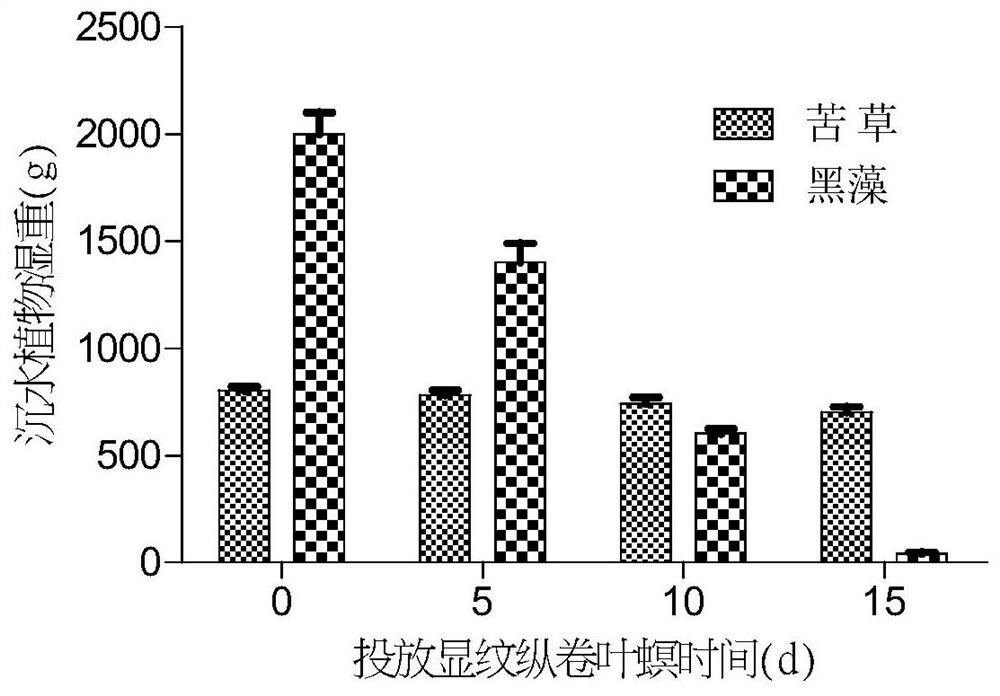 Method for regulating and controlling submerged plant community structure and maintaining biomass balance by using cnaphalocrocis pinnatifida