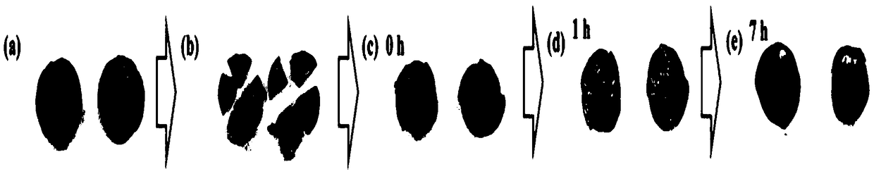 A self-healing polyanion-chitosan quaternary ammonium hydrogel and its application