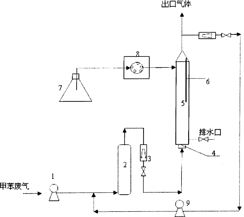 Apparatus and method of bubble column three-phase bio-reactor for purifying toluene waste gas