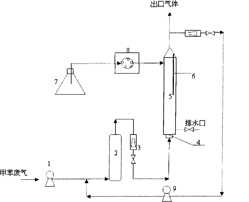 Apparatus and method of bubble column three-phase bio-reactor for purifying toluene waste gas