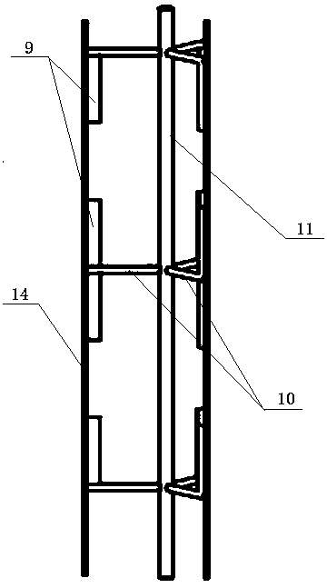 Spiral cleaning machine for small potatoes