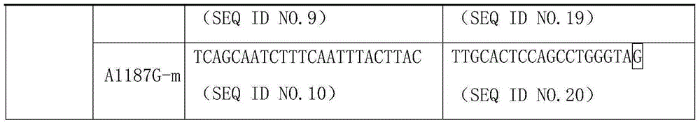 ERCC1 gene mutation detection specific primer and liquid phase chip kit