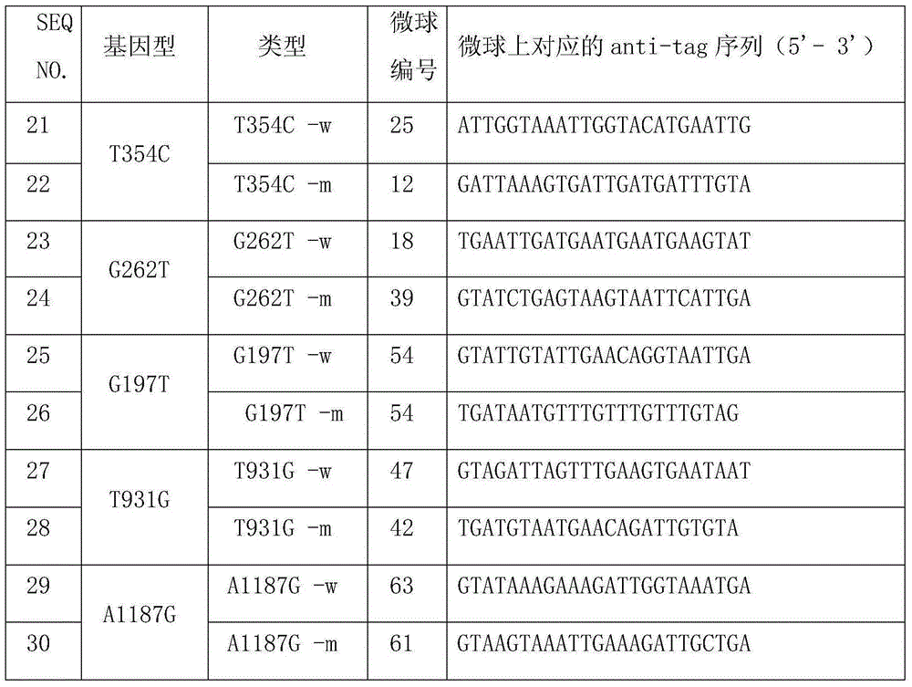 ERCC1 gene mutation detection specific primer and liquid phase chip kit