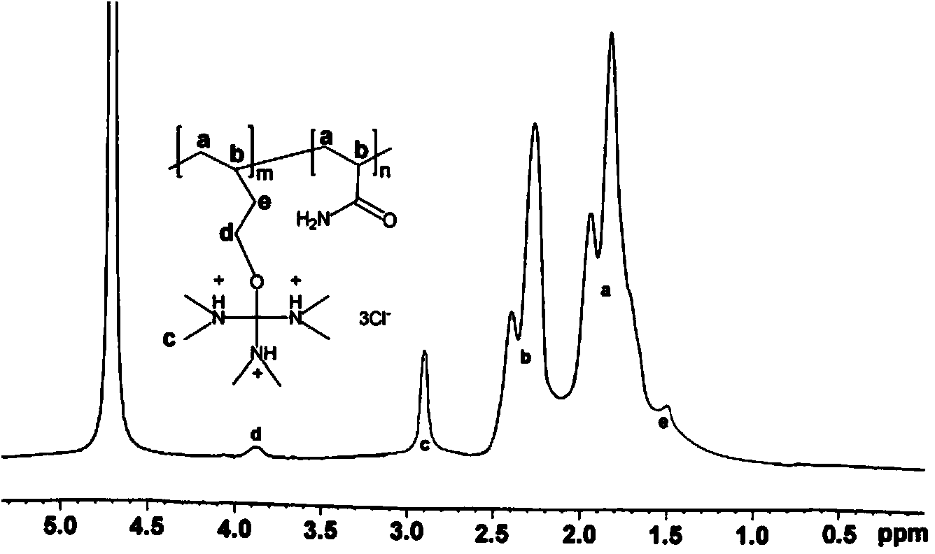 Preparation method of cationic polymer