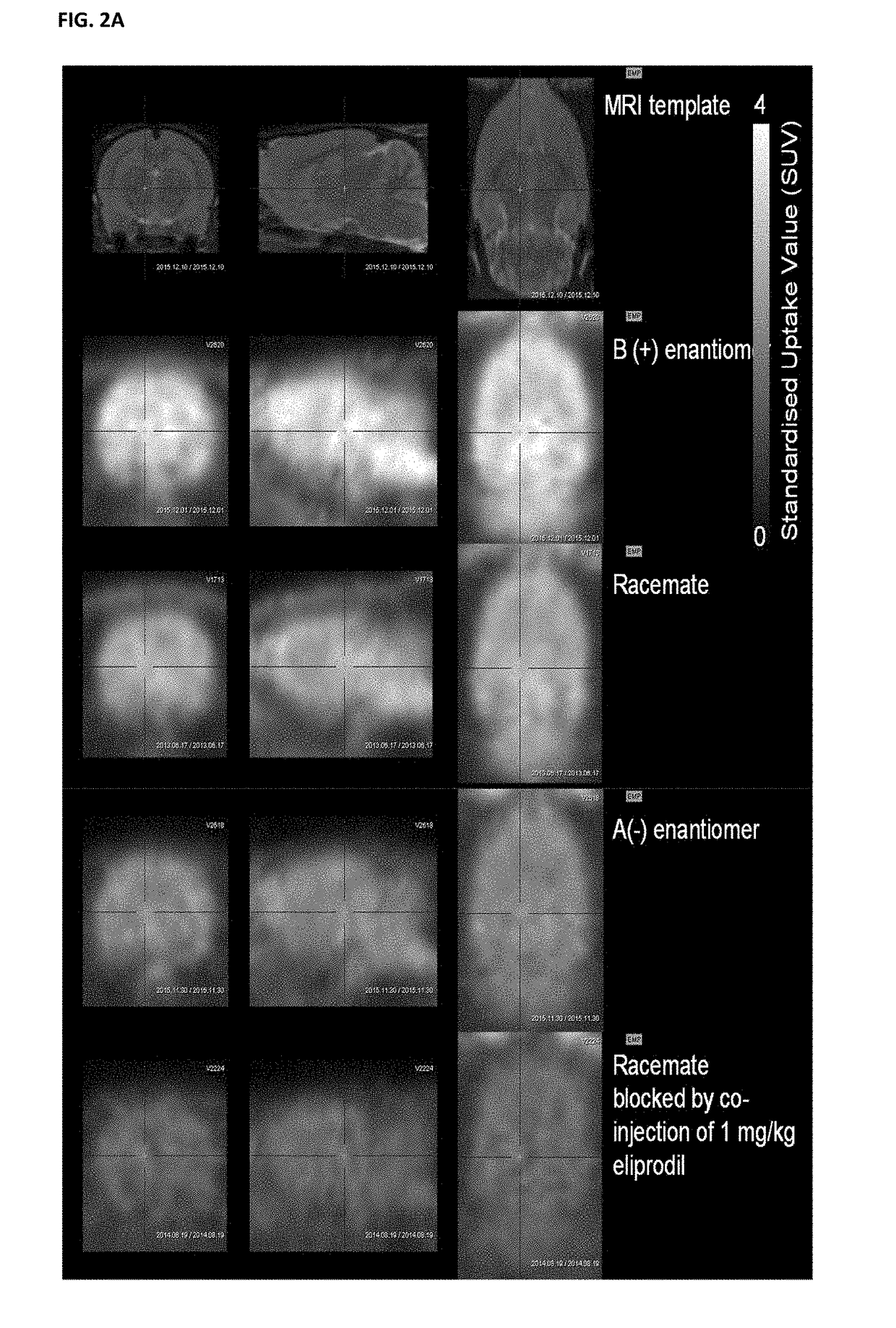 Benzazepin-1-ol-derived pet ligands with high in vivo NMDA specificity