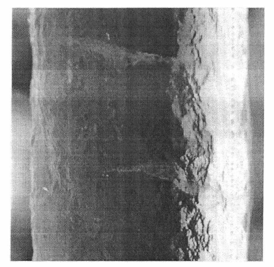 Visual detection method of ice coating thickness of overhead lines