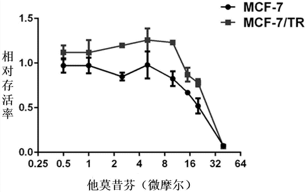 MicroRNA (ribonucleic acid) molecule MiR-141 related to tamoxifen resistance and application of microRNA molecule MiR-141