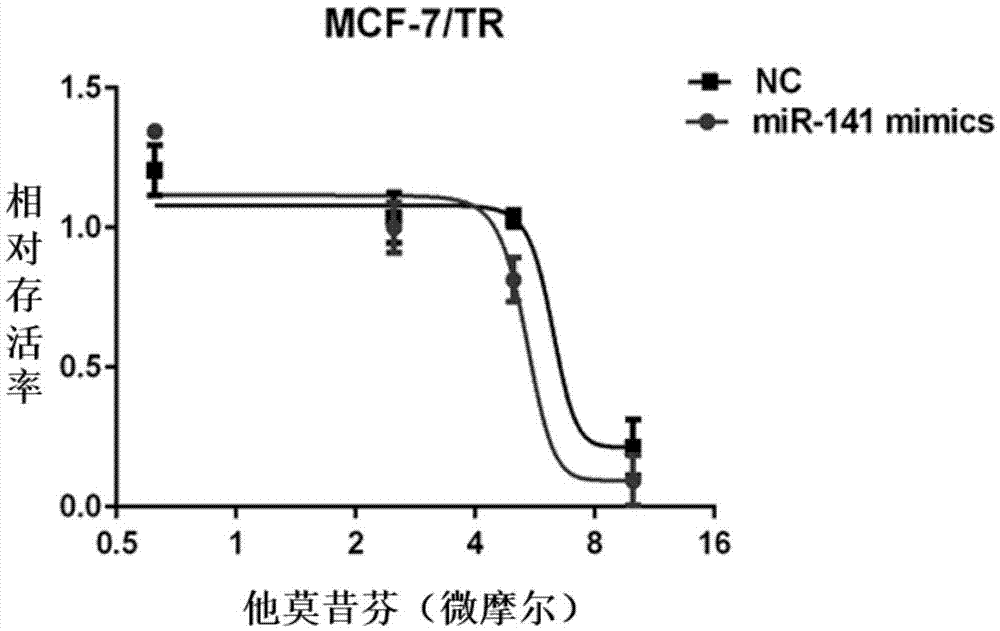 MicroRNA (ribonucleic acid) molecule MiR-141 related to tamoxifen resistance and application of microRNA molecule MiR-141