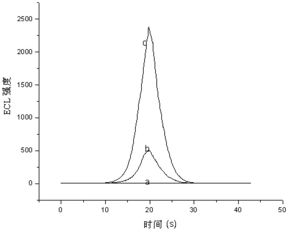 An antibacterial peptide electrochemiluminescence sensor and its preparation method and detection method