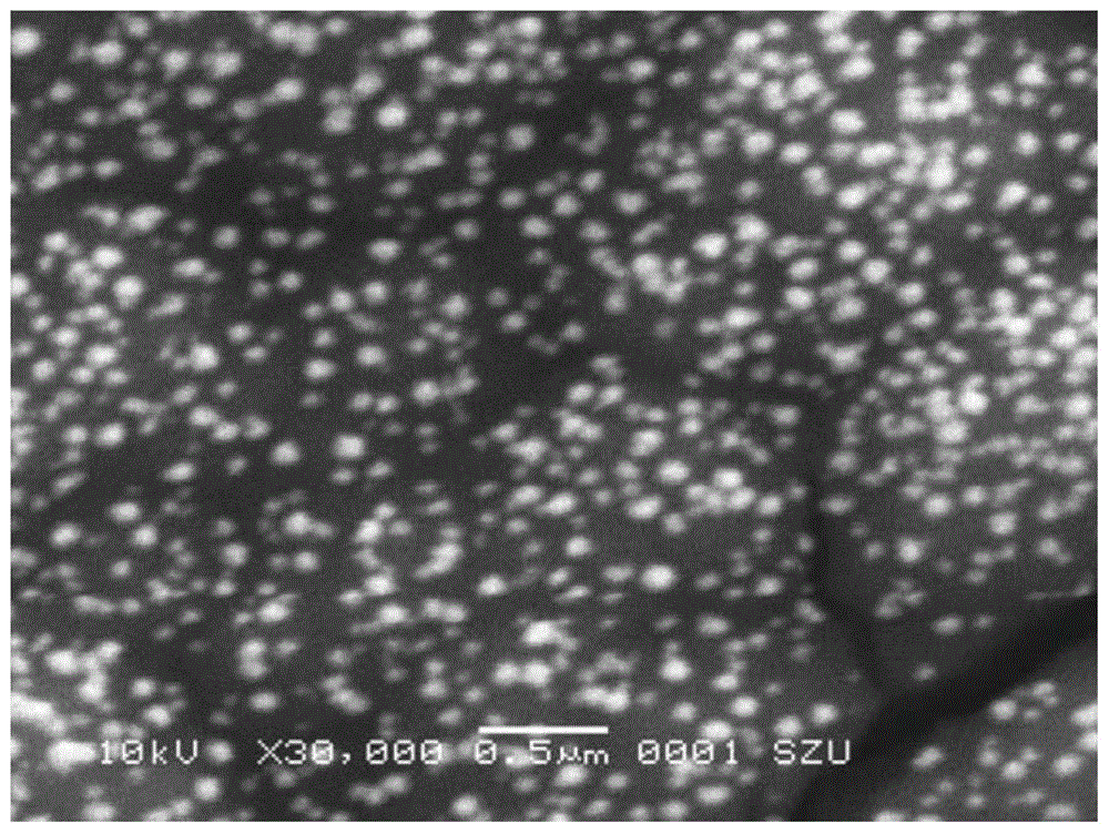 An antibacterial peptide electrochemiluminescence sensor and its preparation method and detection method