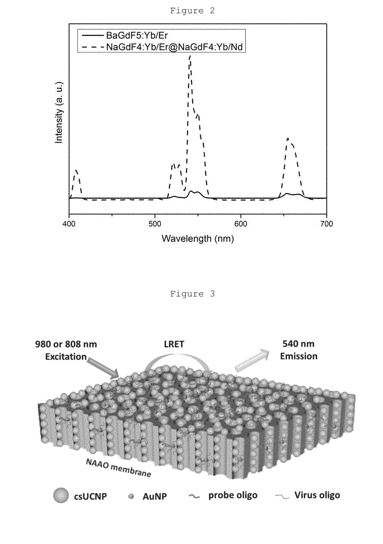Heterogeneous microarray based hybrid upconversion nanoprobe/nanoporous membrane system