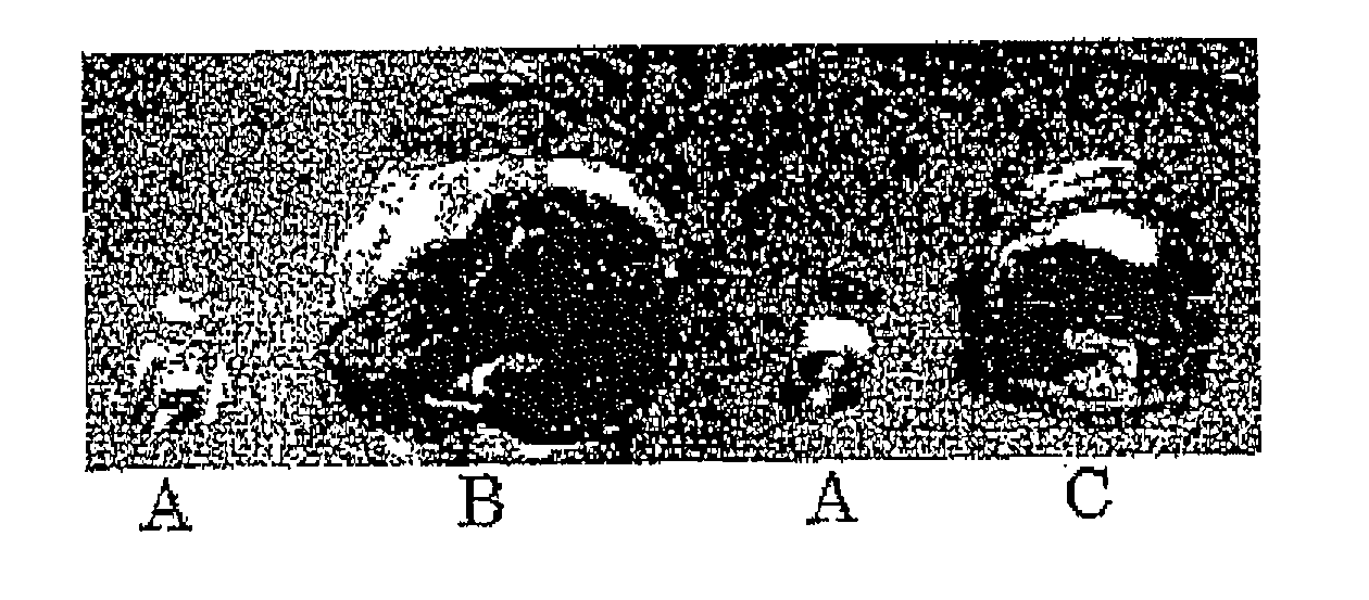 Hydrogel-forming composition and hydrogel produced from the same